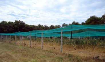 Lovački dom LD "Trčka" Umag